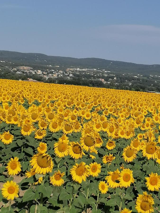 La Chamade Maison De Village Climatisee Lapalud 外观 照片